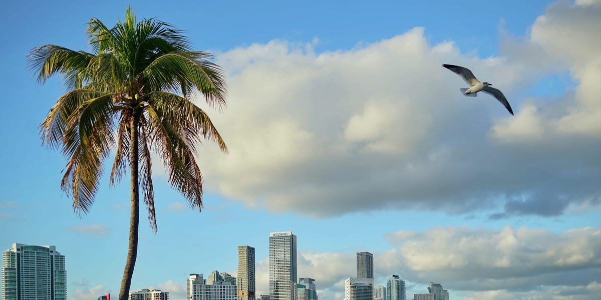 Where Have All the Miami Portfolio Managers Gone?
