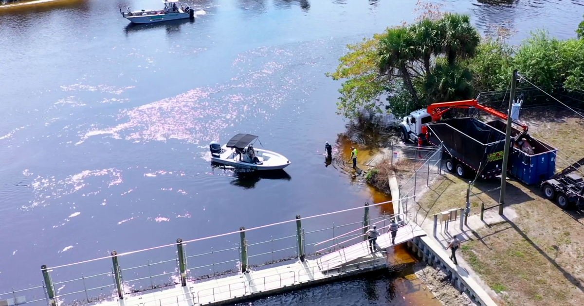 Outage, cold snap and questions: What led to Lee County manatee deaths? | Lee County