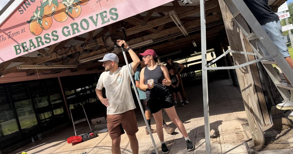 Coffee couple bets big on Bearss Groves comeback | News