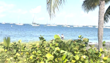 Sun back in Key Biscayne’s forecast | Key Biscayne