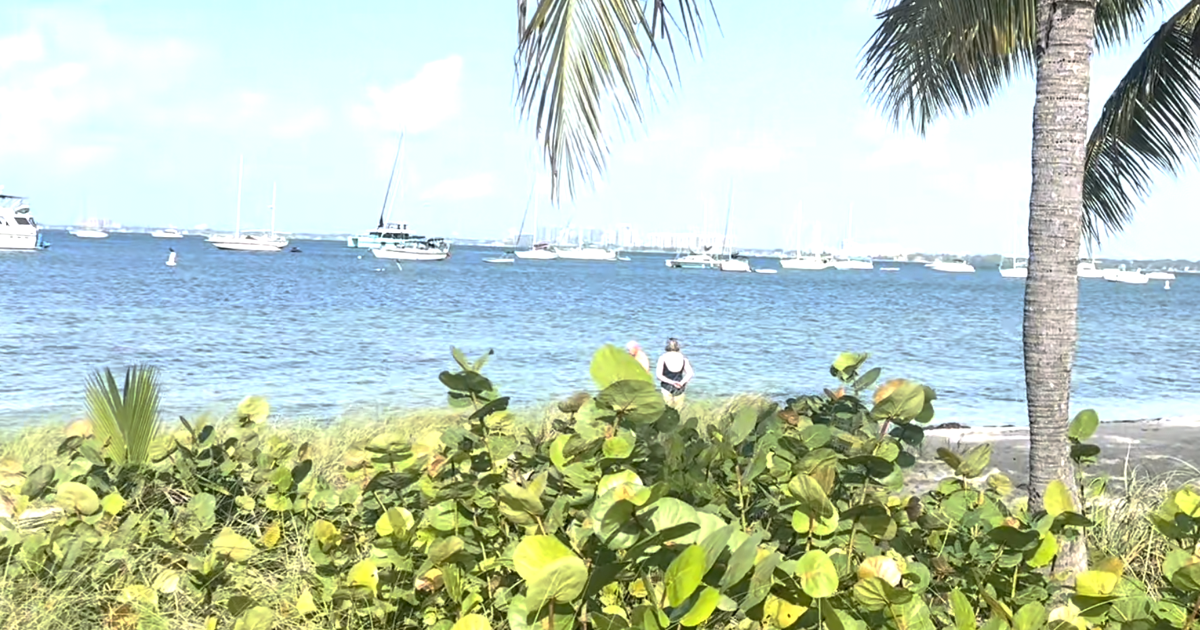 Sun back in Key Biscayne’s forecast | Key Biscayne