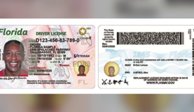 Florida to include citizenship status on driver licenses | State