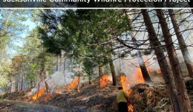 Controlled burns underway near Jacksonville to reduce wildfire risk | Local