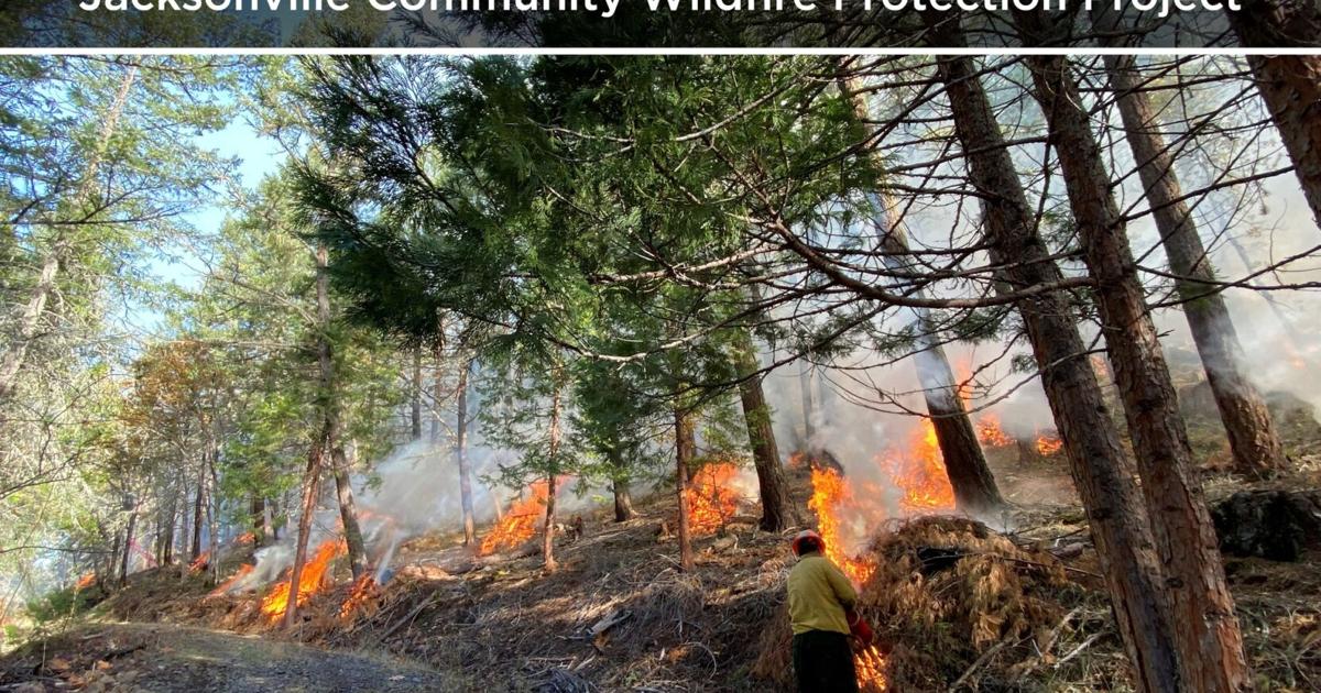 Controlled burns underway near Jacksonville to reduce wildfire risk | Local