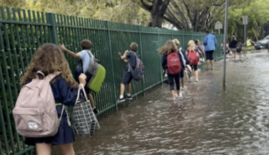 Flooding fears meet a costly choice | Key Biscayne