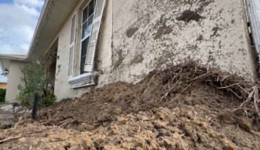 Cape Coral curve sees speeding continue despite new safety signs | Lee County