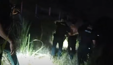 Motorcyclist accused of harming police K9 after chase near FGCU | Crime
