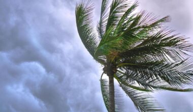 Windy Tuesday on Key Biscayne | Key Biscayne