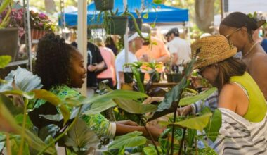 St. Pete's Green Thumb Festival turns 40 | St. Petersburg