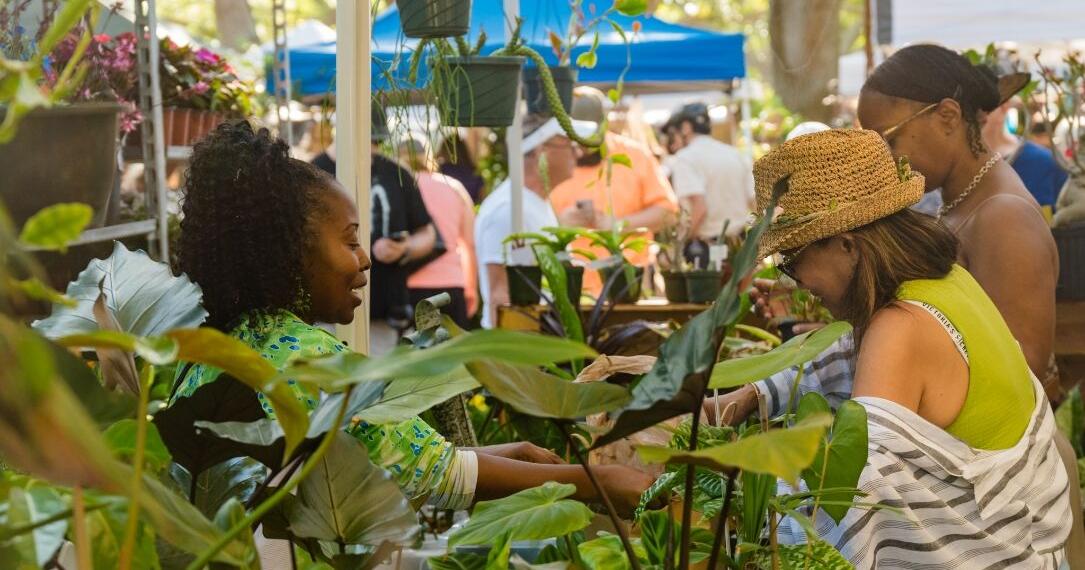 St. Pete's Green Thumb Festival turns 40 | St. Petersburg