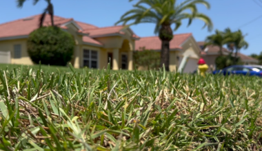 Cape Coral City Council to discuss water and sewer bill options | Lee County