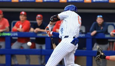 Cardinals pound out 11 runs, cruise past Mets | St. Lucie County