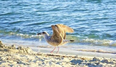 Tuesday warming trend on Key Biscayne | Key Biscayne