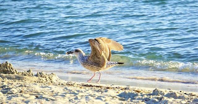 Tuesday warming trend on Key Biscayne | Key Biscayne