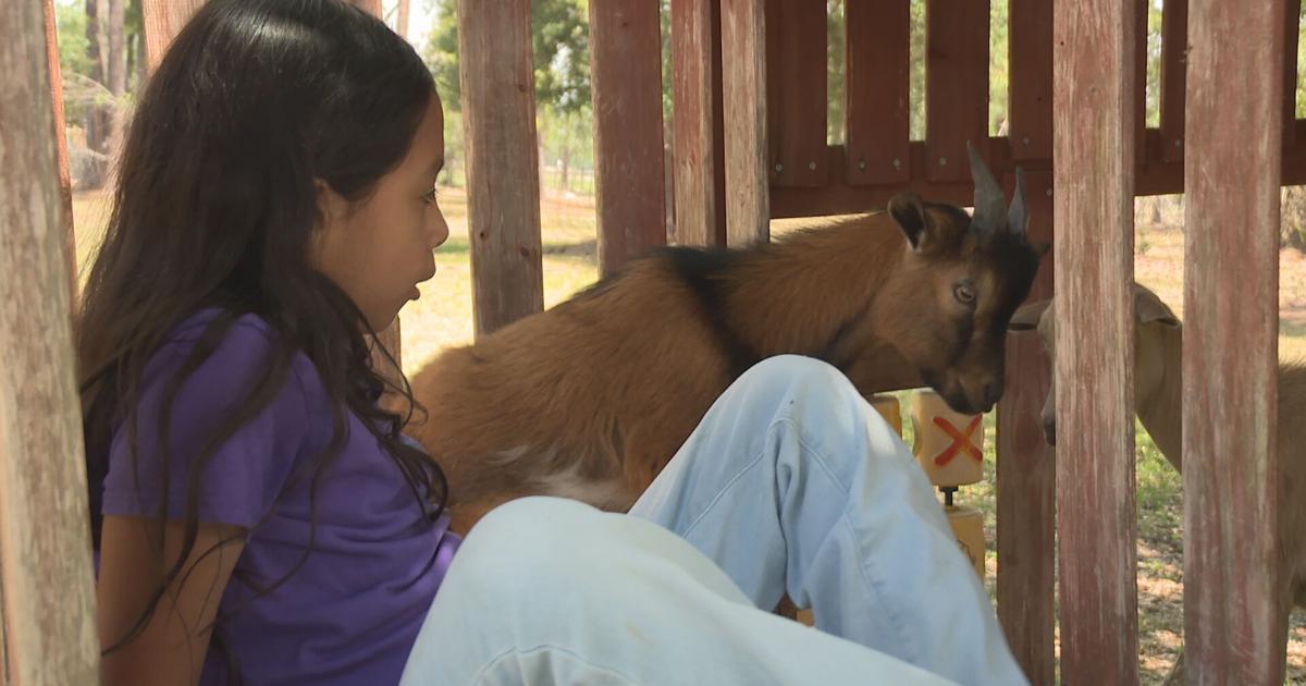 Where healing begins – A mother’s farm for autism support  | Investigations