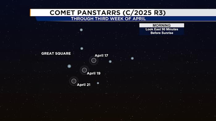 Look up! Here’s how to see a once-in-a-lifetime comet in Florida