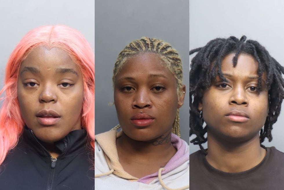 Nafisa Dockery, 30, Davana Cochran, 26, and Dionjana Cochran, 21 were arrested after allegedly...