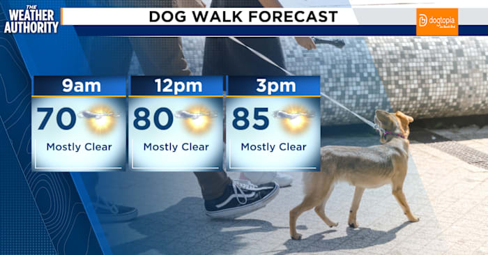 Warm, breezy weekend ahead of a much-needed rainy cold front in Northeast Florida, Southeast Georgia