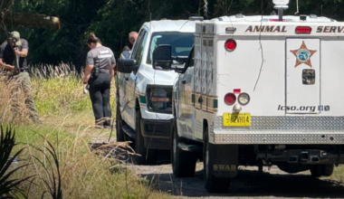Man trying to shoot dog during attack kills owner instead, Florida deputies say