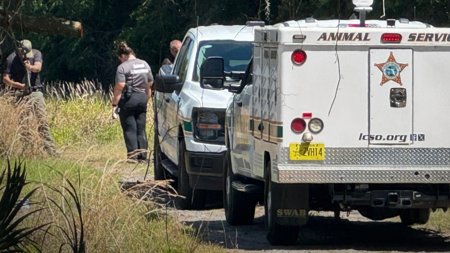 Man trying to shoot dog during attack kills owner instead, Florida deputies say