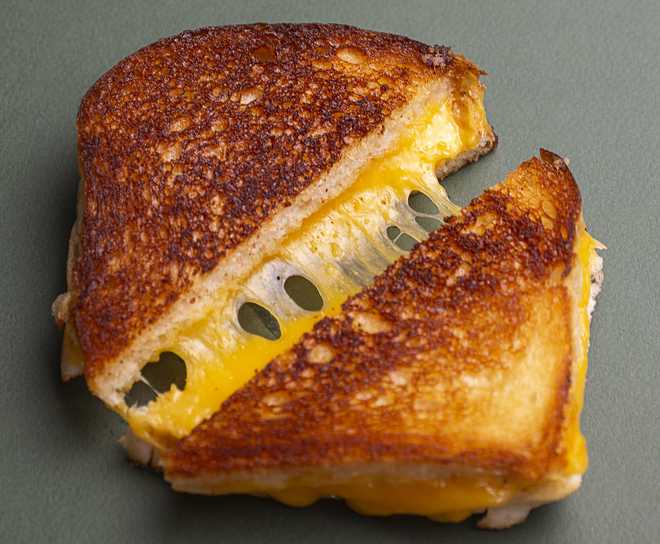 Melty cheddar is stringing between two halves of a cut, grilled cheese sandwich in this close-up view of the toasty, buttery, food. The sandwich is on an olive green colored table background. Photograph taken December 21, 2024 in a studio in Salt Lake City, Utah USA