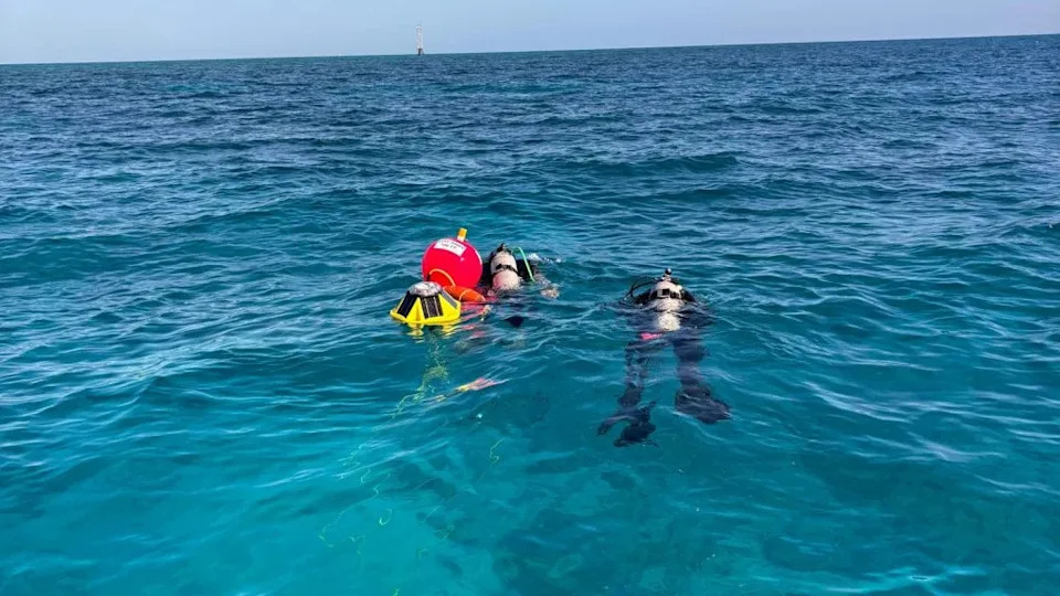 Dive teams deploy the integrated instrument system at Horseshoe Reef in Key Largo, Florida.