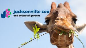 Yahoo lifestyle home