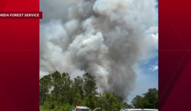 Brush fire forces Amtrak to close tracks in Florida, cancel trips