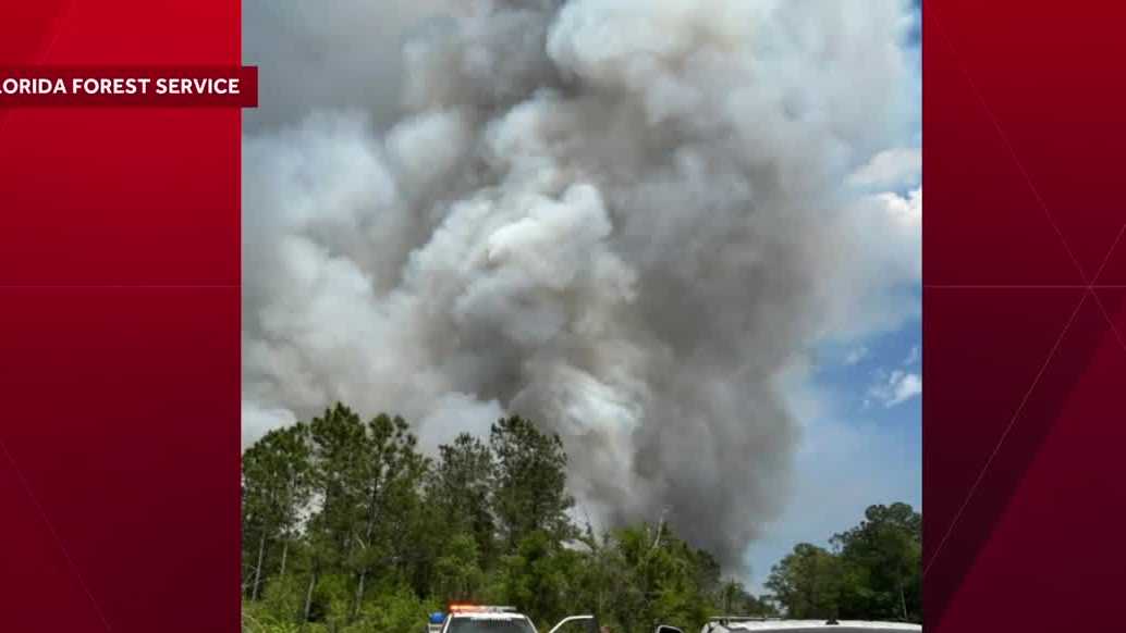 Brush fire forces Amtrak to close tracks in Florida, cancel trips
