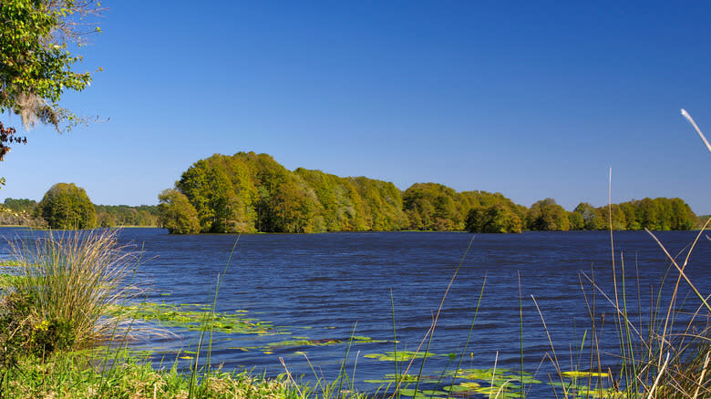 View of Lake Talquin in Tallahassee