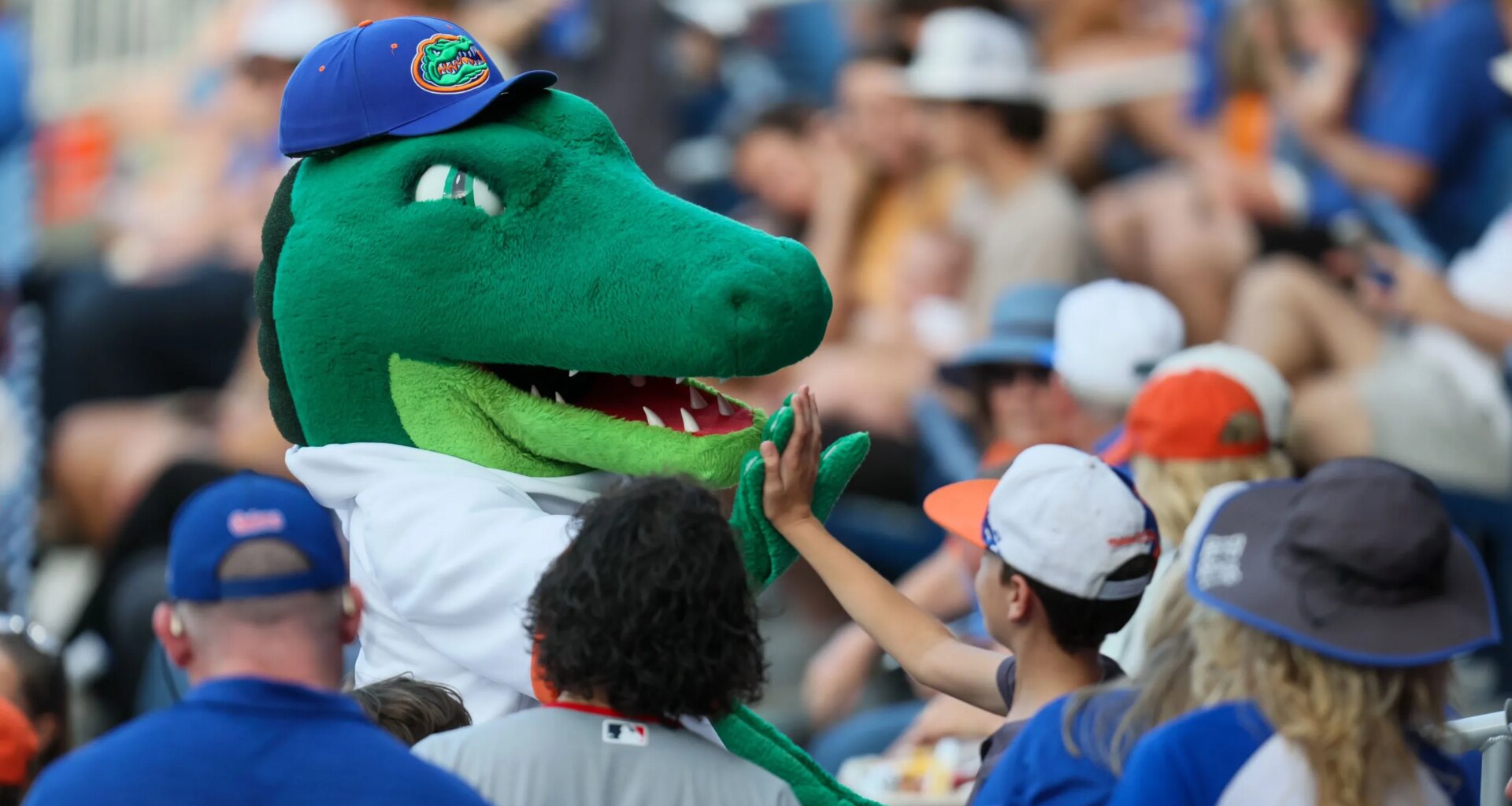 Florida drops to No. 14 seed in D1Baseball NCAA Tournament projections