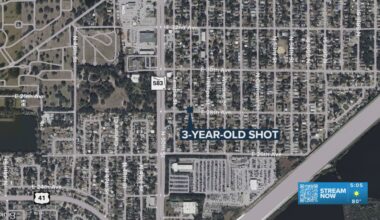 3-year-old shot in arm after mother's boyfriend leaves gun in bed, Tampa police say