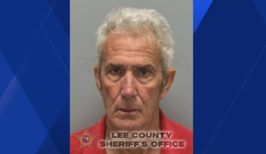 Cape Coral man accused of crashing into 3 cars while reversing, driving away