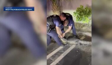 Video shows Florida officer wrangling alligator in parking lot