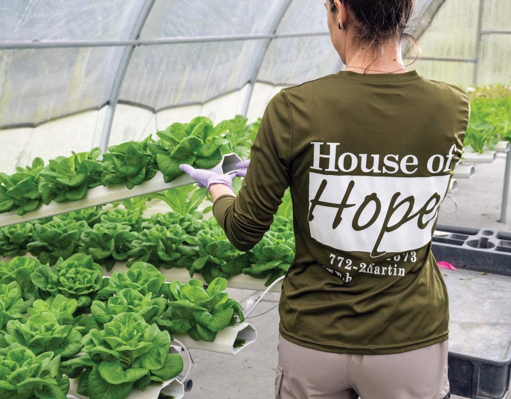 A volunteer checks on hydroponically grown lettuce. Photo courtesy of House of Hope