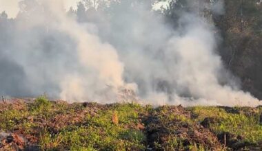 Here’s what you need to know