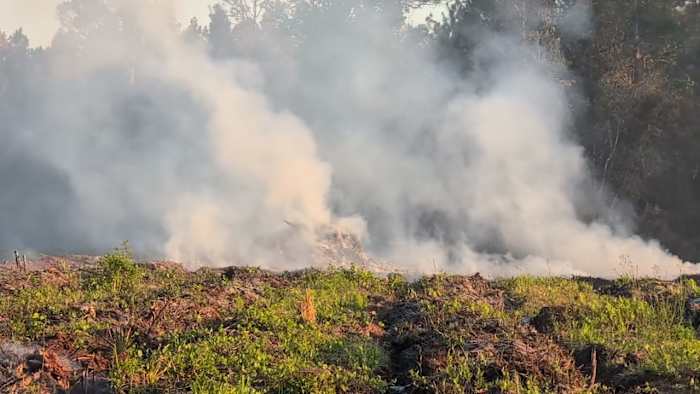 Here’s what you need to know