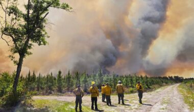 Wildfires are tearing across parts of the southeast, destroying homes in Georgia and forcing hundreds to evacuate as conditions worsen.