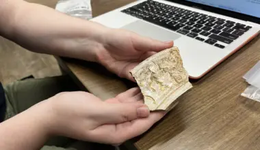 Flagler College archaeology student Abby Mahon shows off a shard from a piece of pottery that dates back to the 19th century.