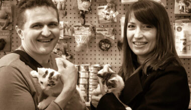 A photo with a sepia effect of a man and woman holding small kittens.