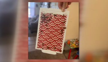 Jacksonville mom disputes $2K lease charge after roach-infested unit fails inspection