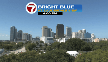 Springing into summer? - WSVN 7News | Miami News, Weather, Sports