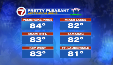 Not too “taxing” - WSVN 7News | Miami News, Weather, Sports