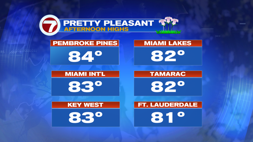 Not too “taxing” - WSVN 7News | Miami News, Weather, Sports