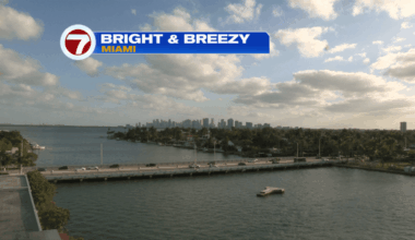 Enjoy this weather - WSVN 7News | Miami News, Weather, Sports