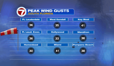 Walloping Winds - WSVN 7News | Miami News, Weather, Sports