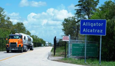 Trucks come and go from the "Alligator Alcatraz" immigration detention center in the Florida Everglades.