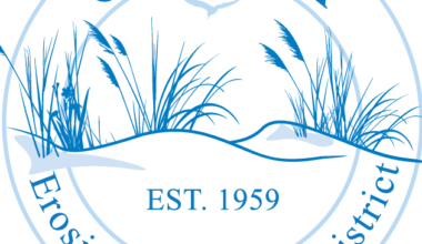 article image -