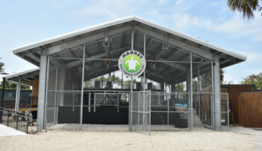 CROW holds ribbon-cutting for new sea turtle complex - SANIBEL-CAPTIVA