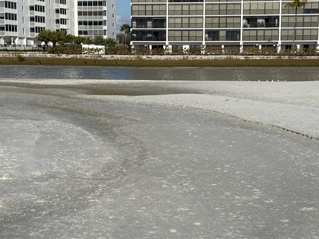 Fort Myers Beach announces another fish kill event - FORT MYERS